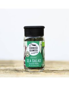 CORNISH ORG SEAWEED SEA SALAD 1 X 12g